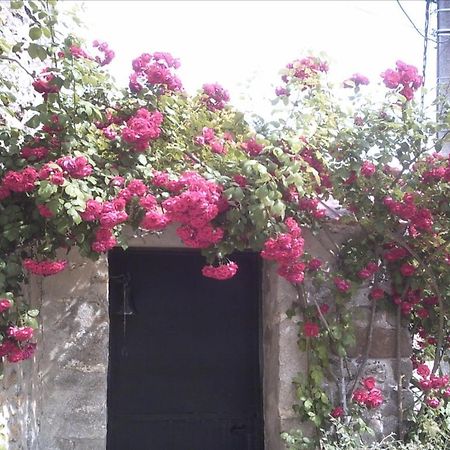 فيلا Les Maharanis Moisenay المظهر الخارجي الصورة
